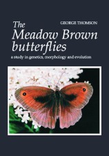 Meadow Brown1